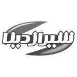 SHIRAZ-DINA-CHEETOZ Logo